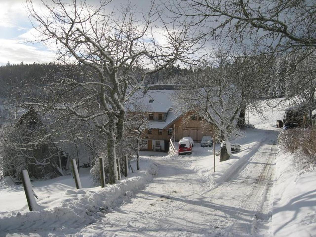 Schonach im Schwarzwald Sigmundenhof 아파트 외부 사진