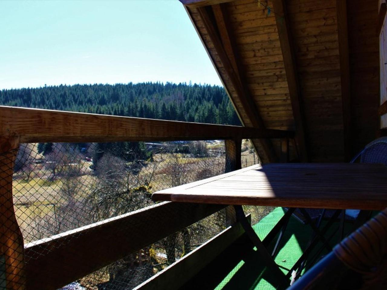 Schonach im Schwarzwald Sigmundenhof 아파트 외부 사진