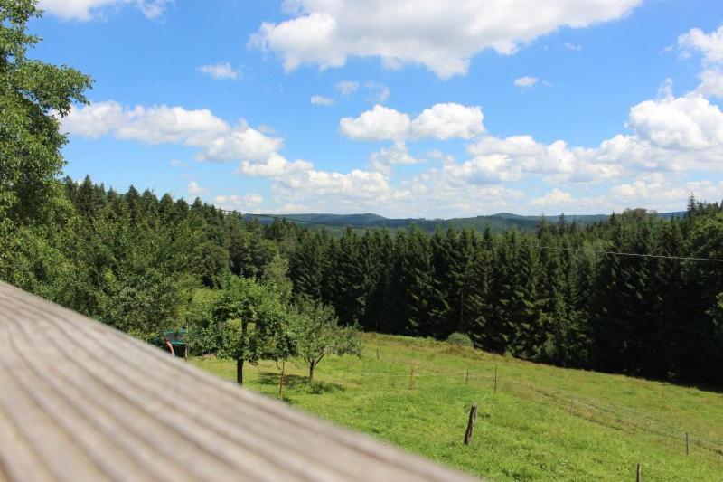 Schonach im Schwarzwald Sigmundenhof 아파트 외부 사진