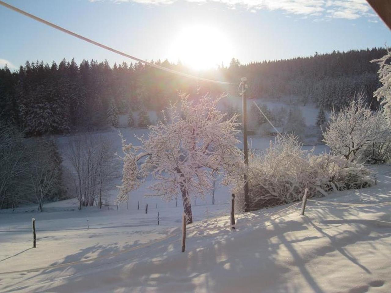 Schonach im Schwarzwald Sigmundenhof 아파트 외부 사진